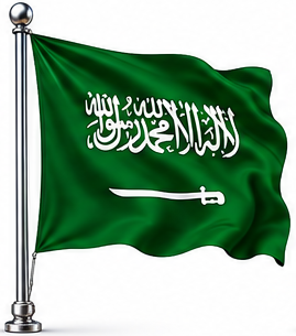 Saudi visa processing